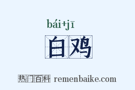 白鸡是什么意思的图片